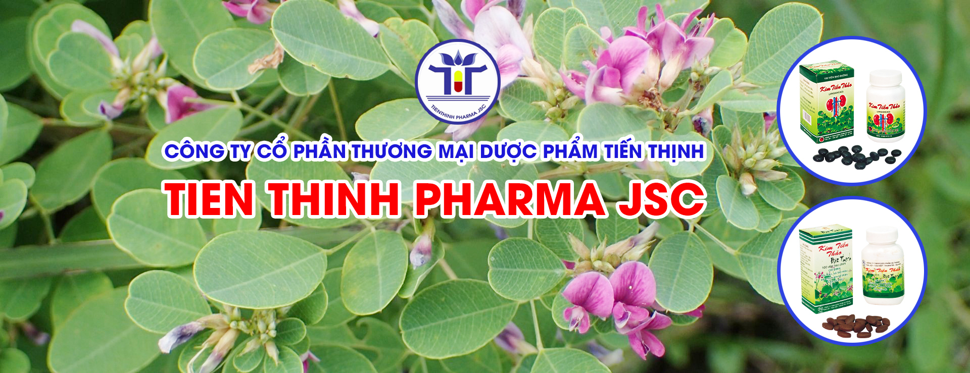 https://tienthinhpharma.com/san-pham/501/kim-tien-thao.html